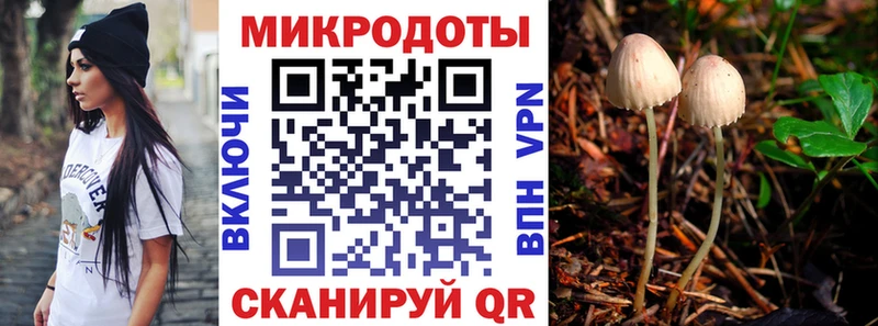 Псилоцибиновые грибы GOLDEN TEACHER Иланский